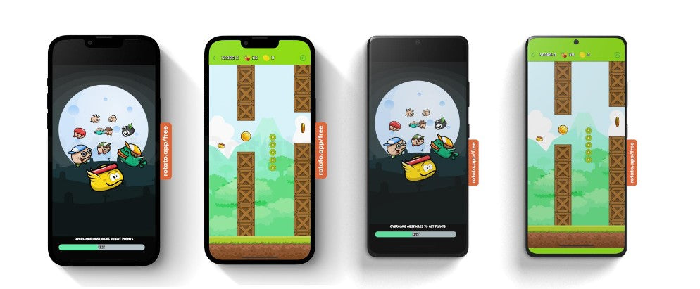 Kişiye Özel Mini (F.Bird) Oyun