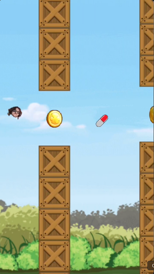 Kişiye Özel Mini (F.Bird) Oyun