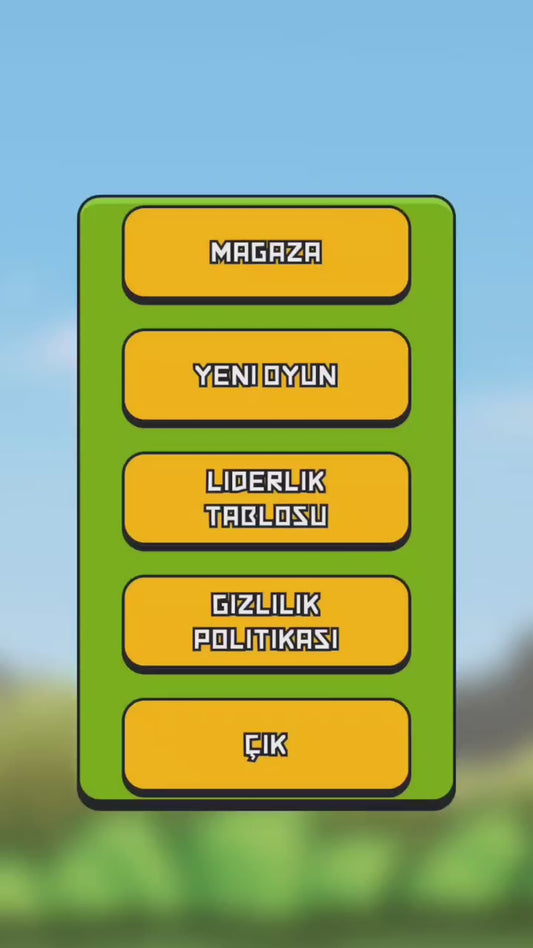 Kişiye Özel Mini (F.Bird) Oyun